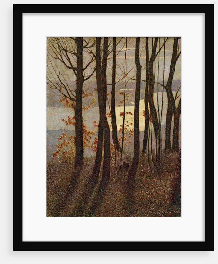 Morning by Vittore Grubicy de Dragon