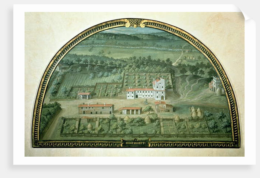 Colle Salvetti by Giusto Utens