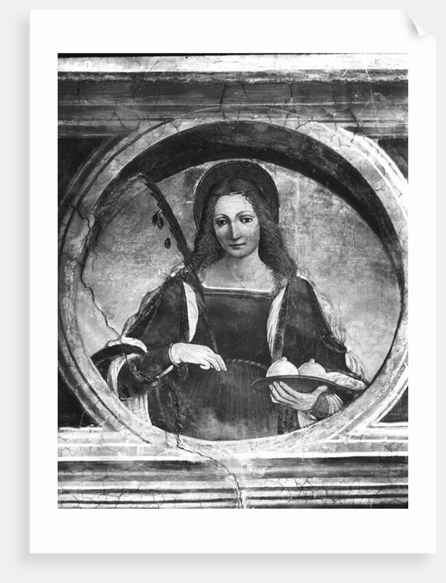 St. Agatha by Giovanni Antonio Boltraffio