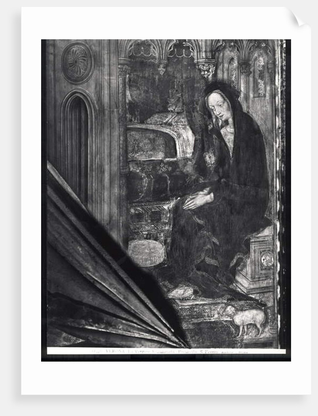 Virgin Mary, detail from the Annunciation by Antonio Pisanello