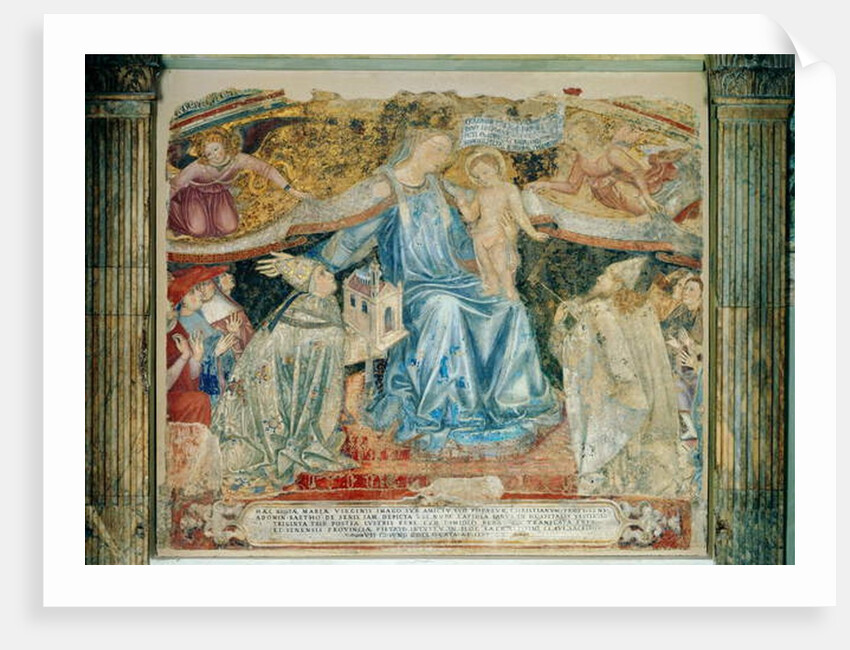 Madonna della Misericordia by Domenico di Bartolo