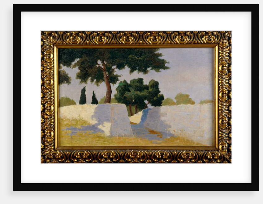 Landscape with white walls by Damaso Bianchi