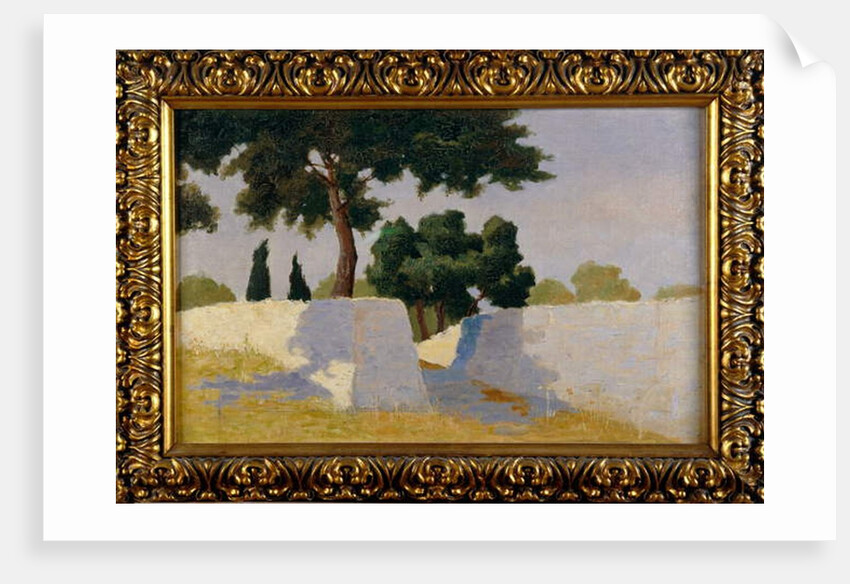 Landscape with white walls by Damaso Bianchi