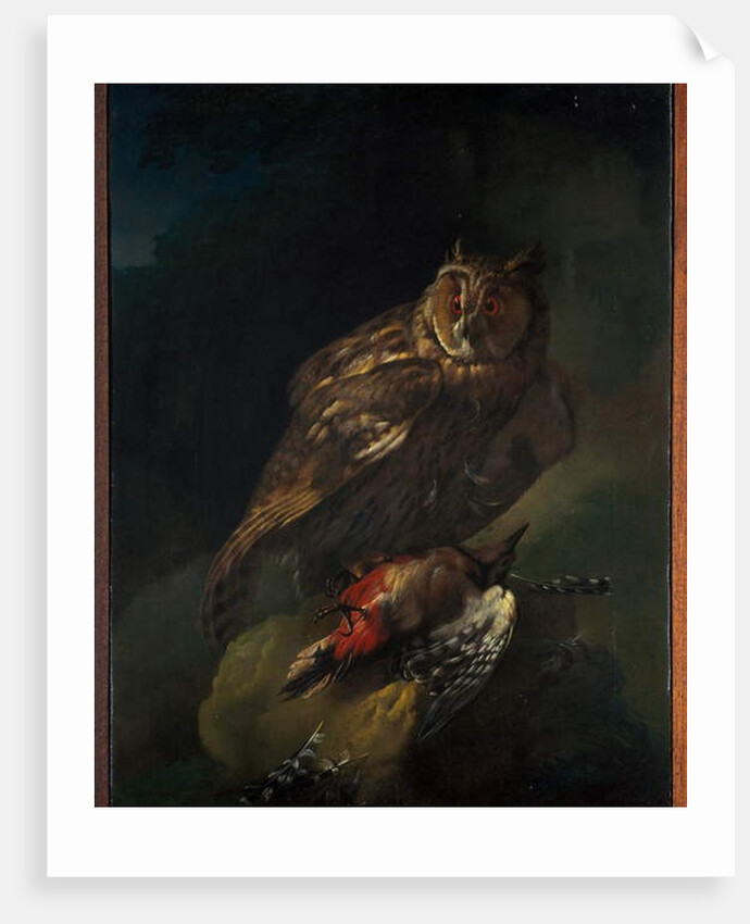 An owl with its prey by Unknown Artist