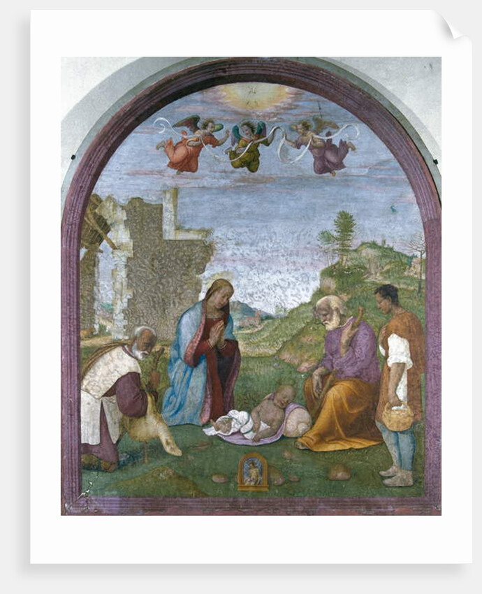 Adoration of the Shepherds by Francesco di Cristofano Franciabigio