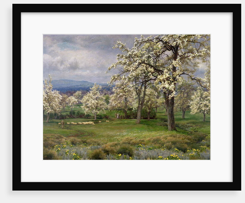 The Pear Orchard, c.1903 by Alfred Parsons