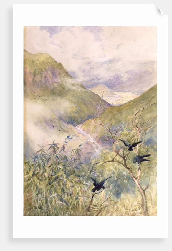 Looking Over the Lilies by Alfred East