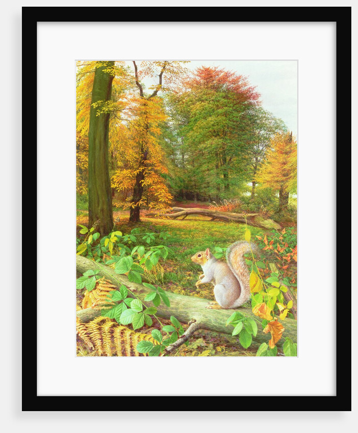 Squirrel on a Fallen Tree, 1995 by Raymond Booth