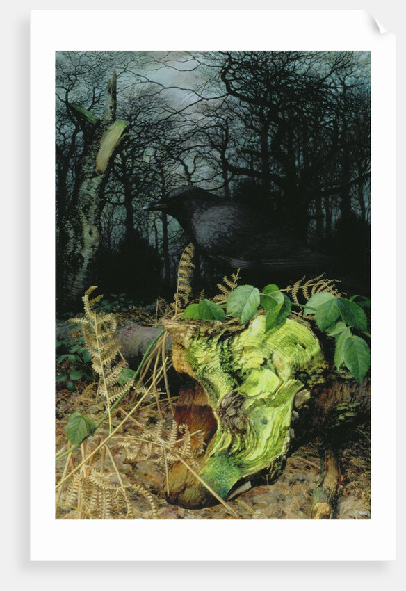 Midwinter in the Woods, 1999 by Raymond Booth