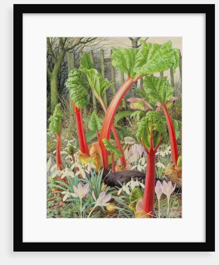 In the Rhubarb Patch, 2000 by Raymond Booth