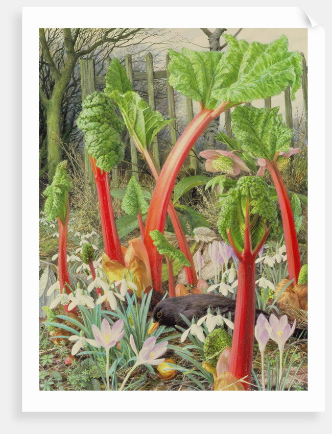 In the Rhubarb Patch, 2000 by Raymond Booth