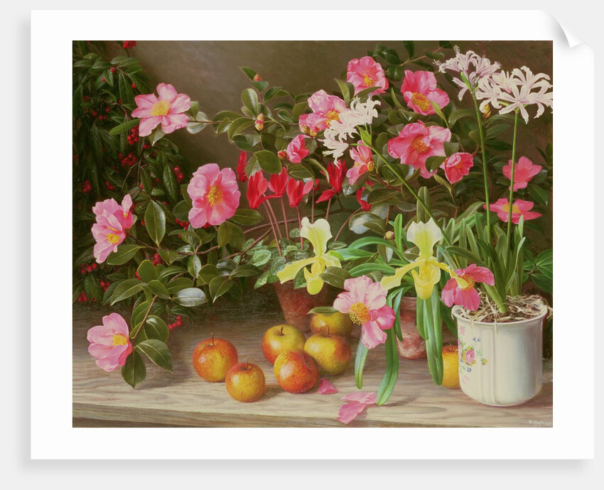 November Flowers, 1993 by Raymond Booth