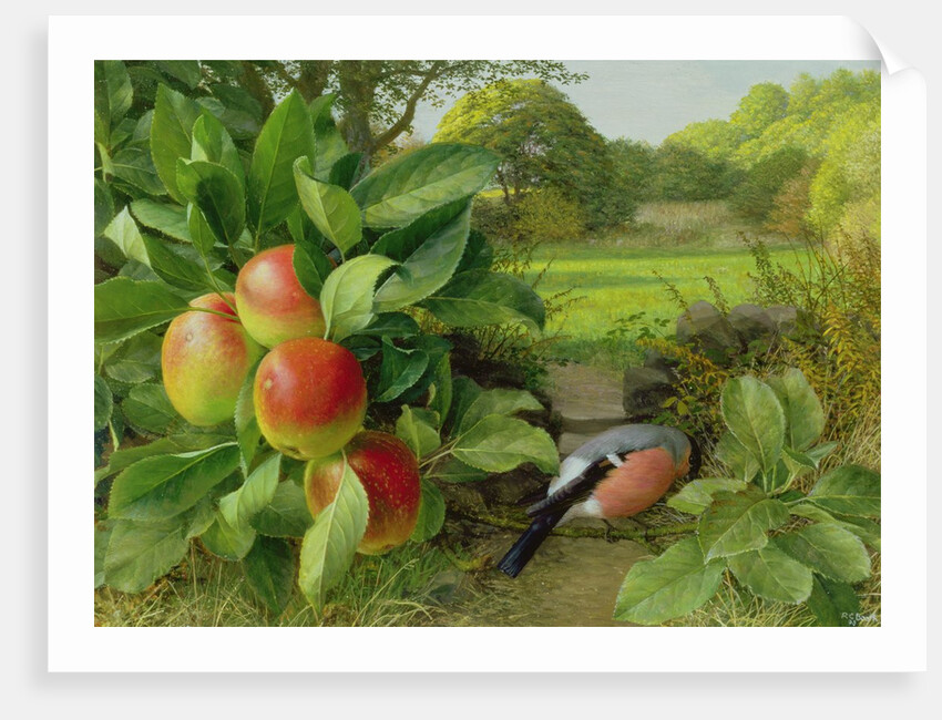 Katja Apple and Bullfinch, 1999 by Raymond Booth