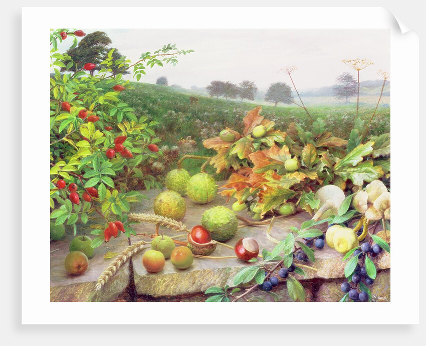 Gathering in the Wild Harvest, 1995 by Raymond Booth