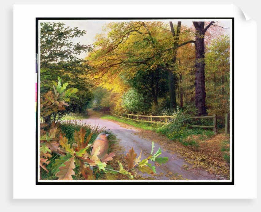 October Evening on Crag Lane, 1997 by Raymond Booth