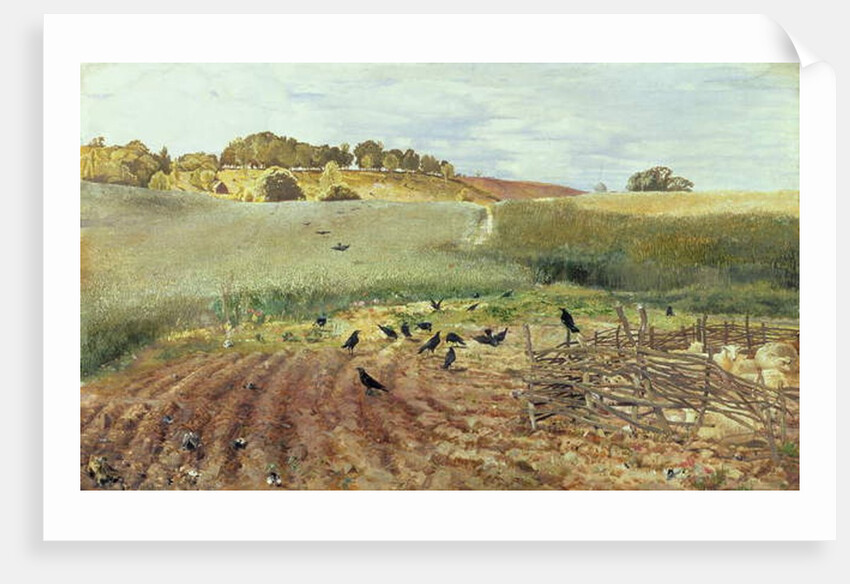 The Rooks' Parliament, 1858 by John Samuel Raven