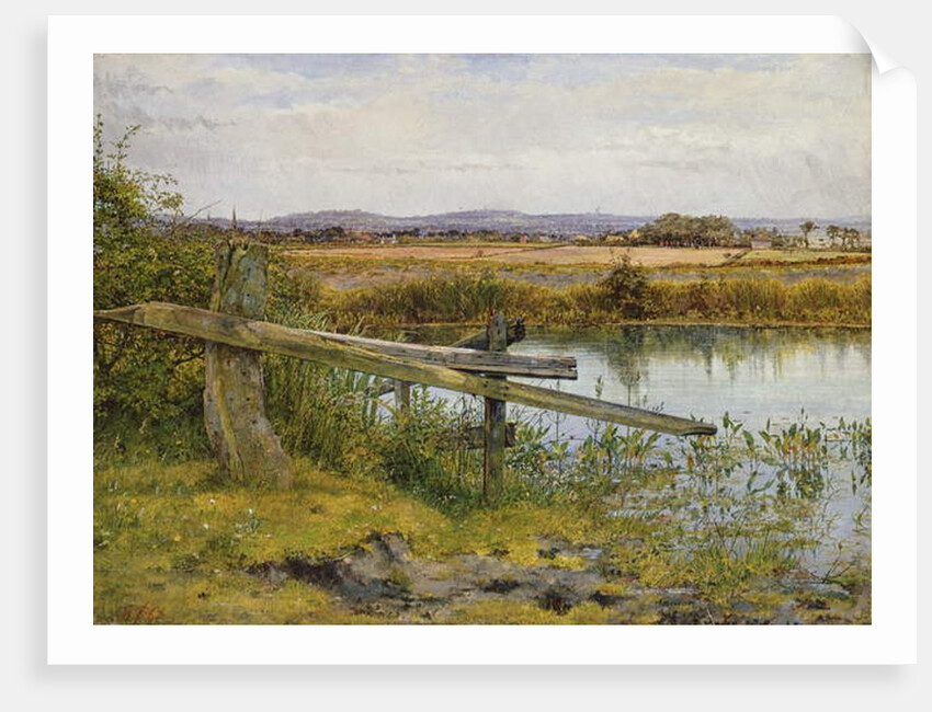 The Roadside, 1862 by John Edward Newton