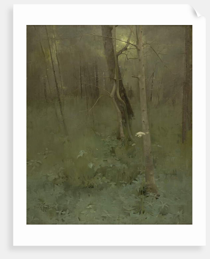 Trees, 1886 by Thomas Millie Dow