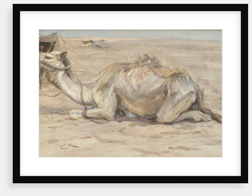 Camel at the Artist's Camp with Bedouins by Edwin John Alexander