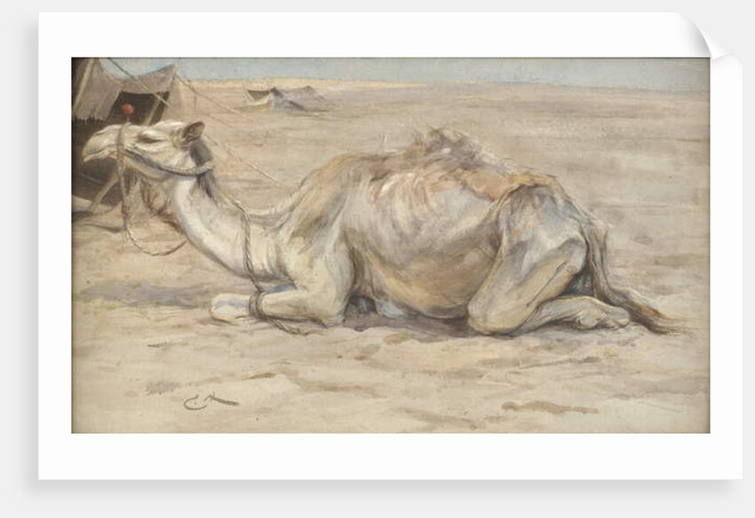 Camel at the Artist's Camp with Bedouins by Edwin John Alexander