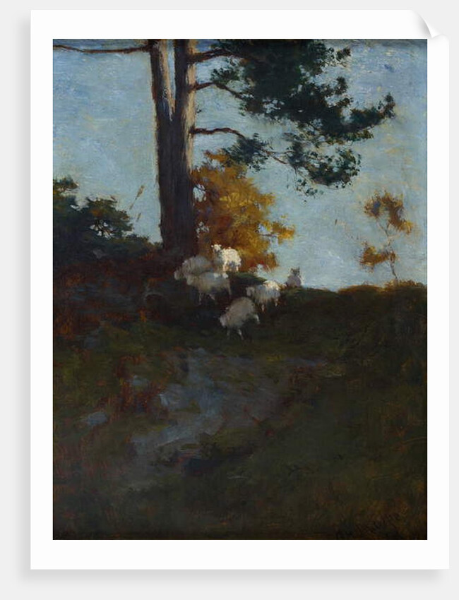 Hillside with Sheep by Charles Hodge Mackie
