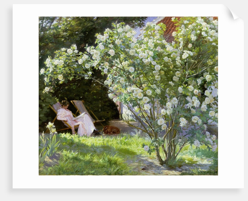 Roses, or The Artist's Wife in the Garden at Skagen, 1883 by Peder Severin Kroyer