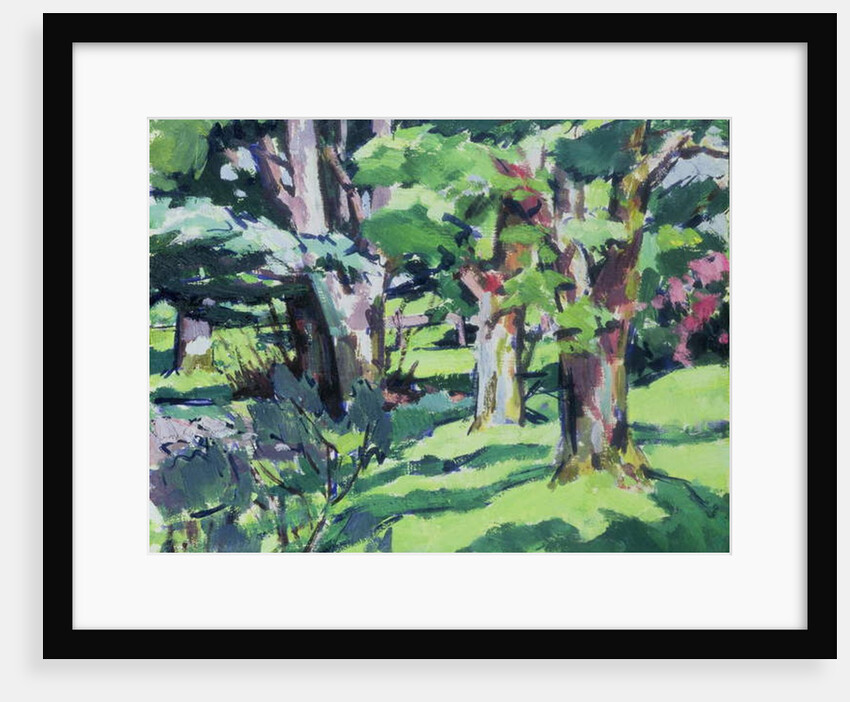 Trees at Auchinleck, Ayrshire by Francis Campbell Boileau Cadell