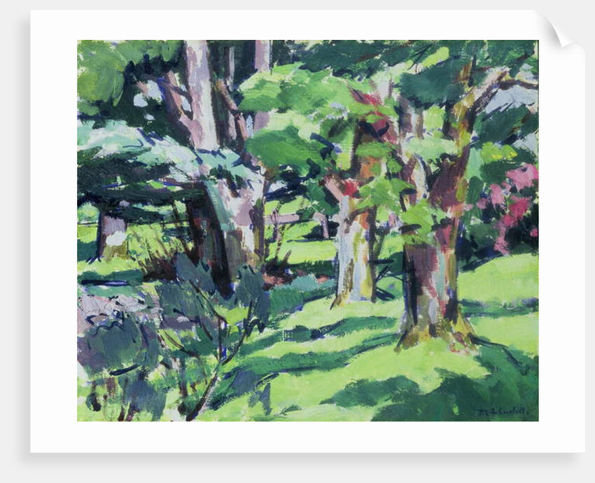 Trees at Auchinleck, Ayrshire by Francis Campbell Boileau Cadell