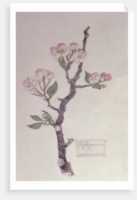Apple, Walberswick, 1915 by Charles Rennie Mackintosh