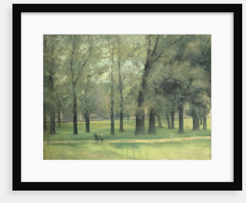 Elms near Long Walk by Paul Fordyce Maitland