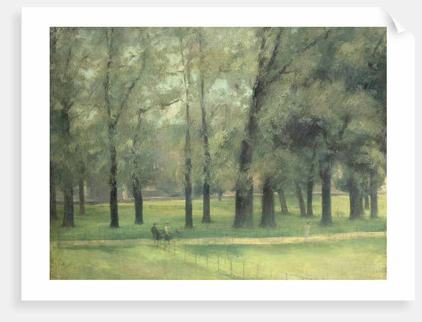 Elms near Long Walk by Paul Fordyce Maitland