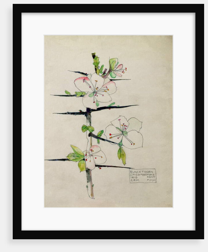 Blackthorn, Chiddingstone, Kent, 1910 by Charles Rennie & MacDonald Mackintosh Margaret (1864-1933) Mackintosh