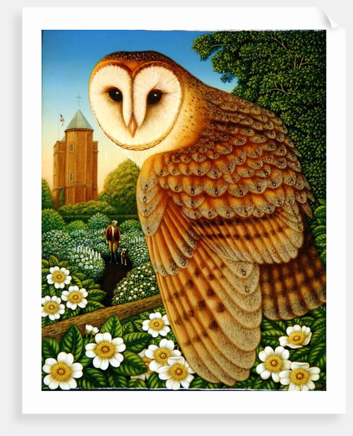 The White Garden, 1997 by Frances Broomfield