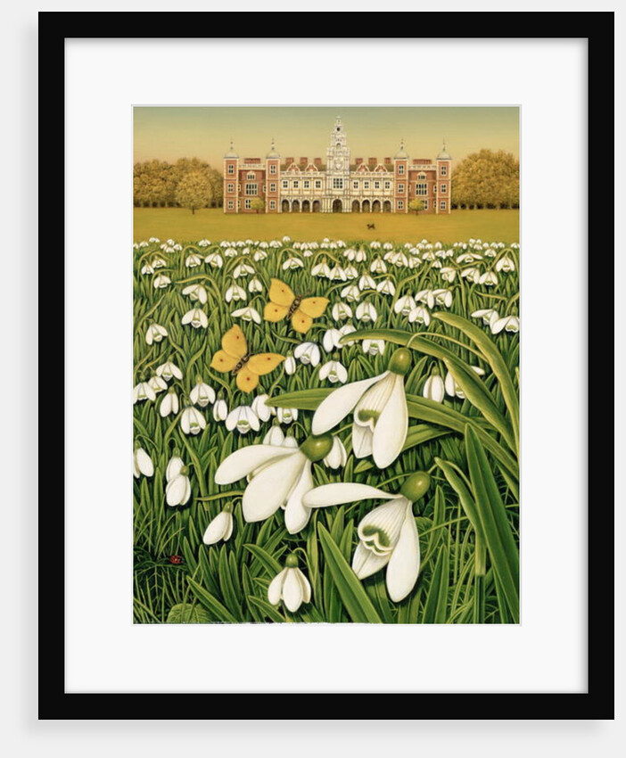 Snowdrop Day, Hatfield House, 1999 by Frances Broomfield