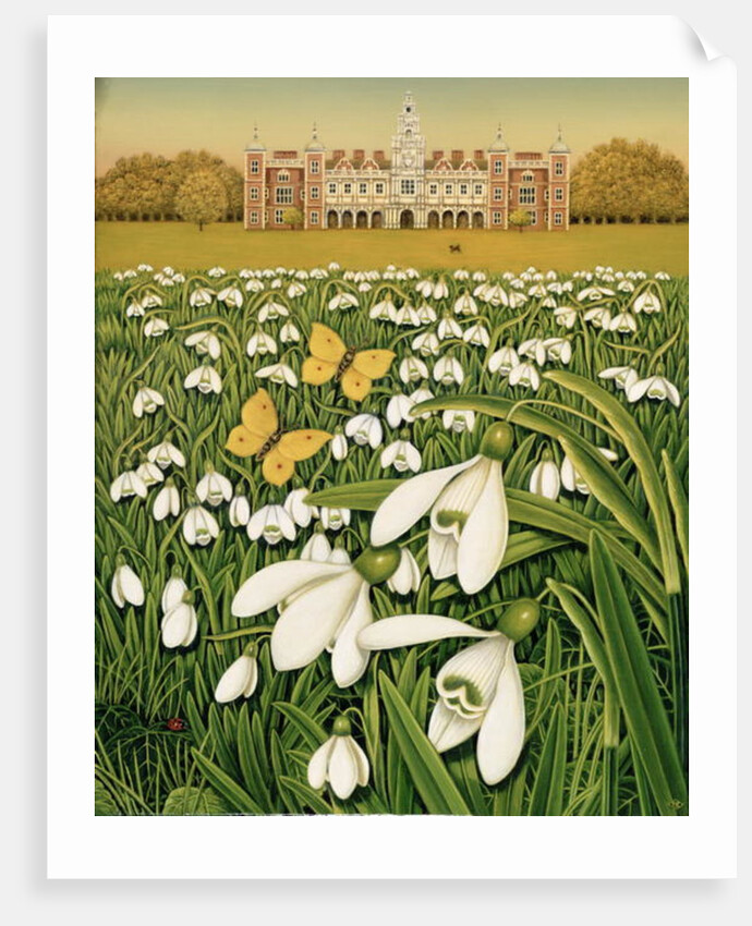 Snowdrop Day, Hatfield House, 1999 by Frances Broomfield
