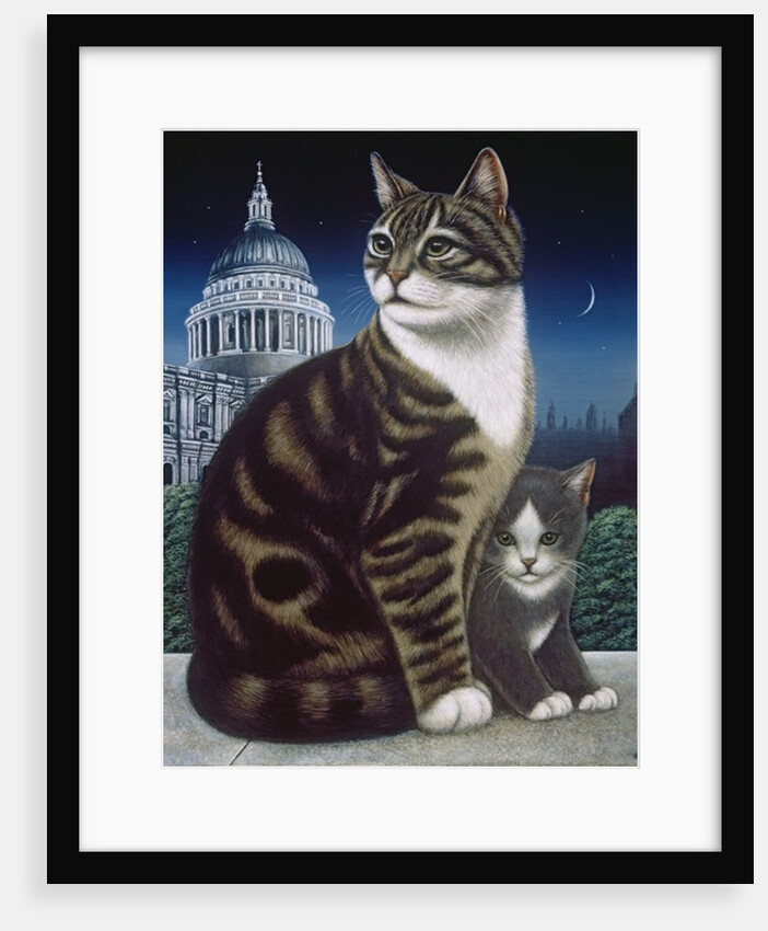 Faith, the St. Pauls Cat, 1995 by Frances Broomfield
