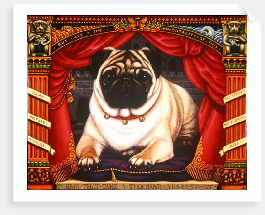 Nabokov's Pug, 2006 by Frances Broomfield