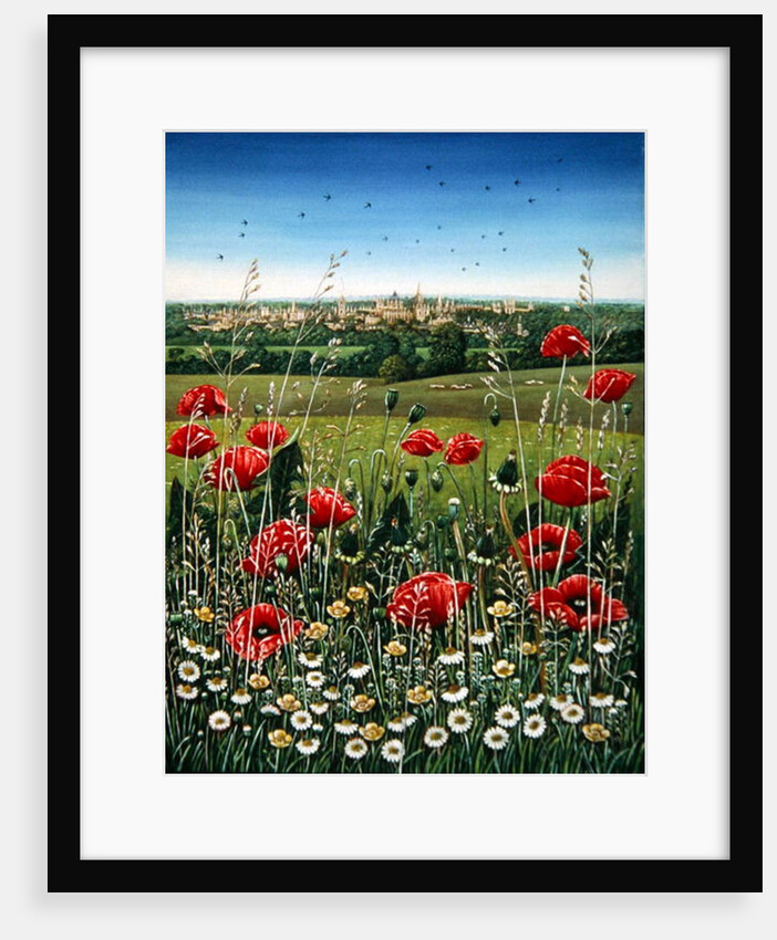 Oxford / Poppies, 1983 by Frances Broomfield