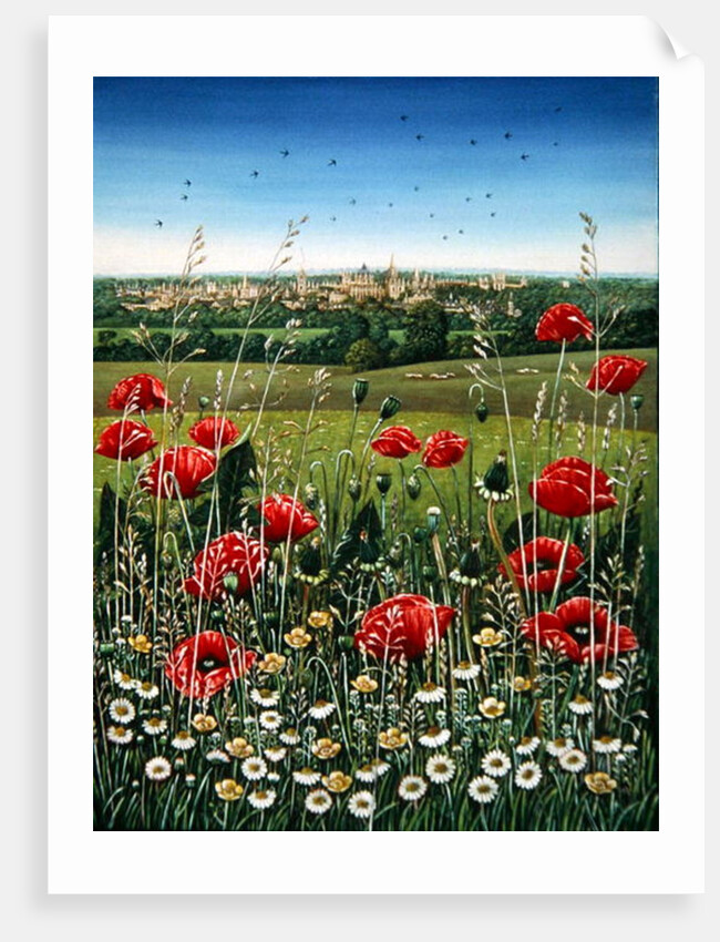 Oxford / Poppies, 1983 by Frances Broomfield