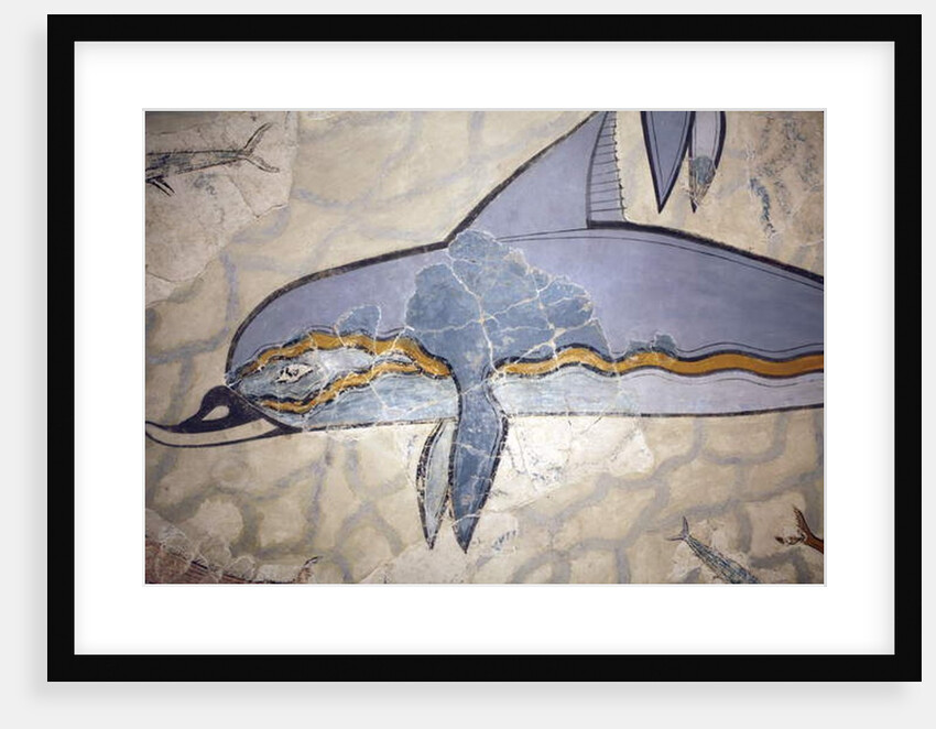 The Dolphin Fresco by Minoan Minoan