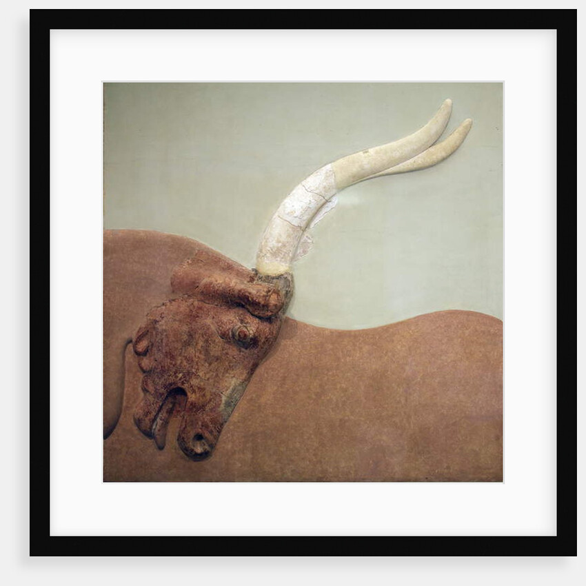 Fragment of plaster relief fresco showing a hunted bull by Minoan Minoan
