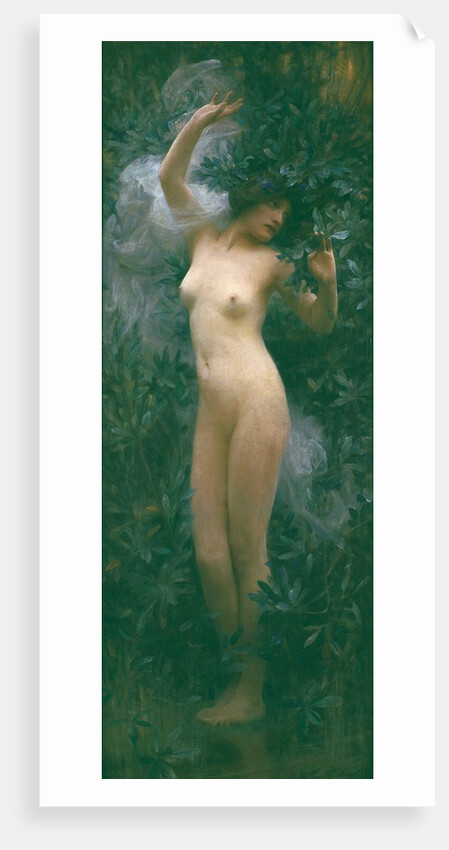 Daphne, c.1890 by Arthur Hacker