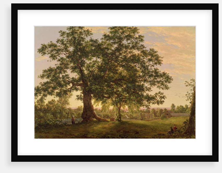 The Charter Oak at Hartford, c.1846 by Frederic Edwin Church