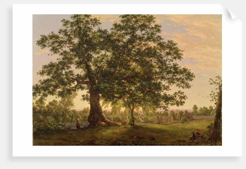 The Charter Oak at Hartford, c.1846 by Frederic Edwin Church