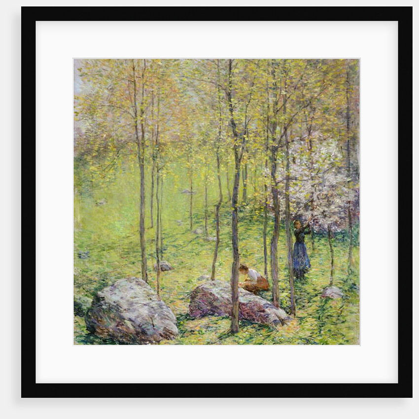 Dogwood Blossoms, 1906 by Willard Leroy Metcalf