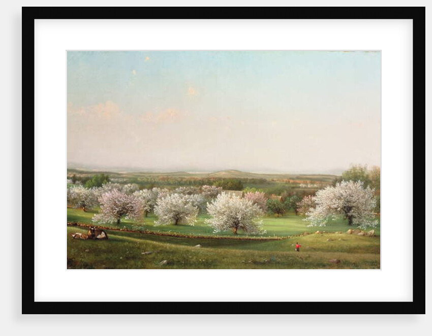 Apple Orchard, 1878 by Nelson Augustus Moore