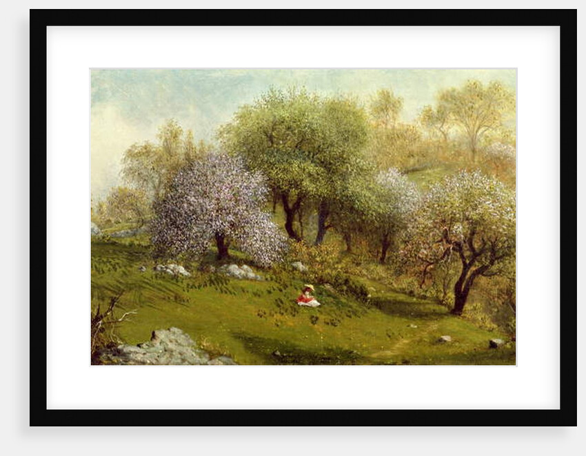 Girl on a Hillside, Apple Blossoms, 1874 by Martin Johnson Heade