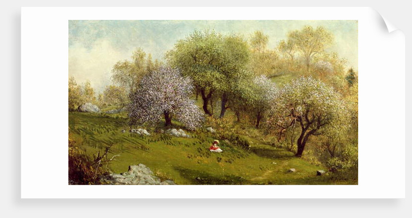 Girl on a Hillside, Apple Blossoms, 1874 by Martin Johnson Heade
