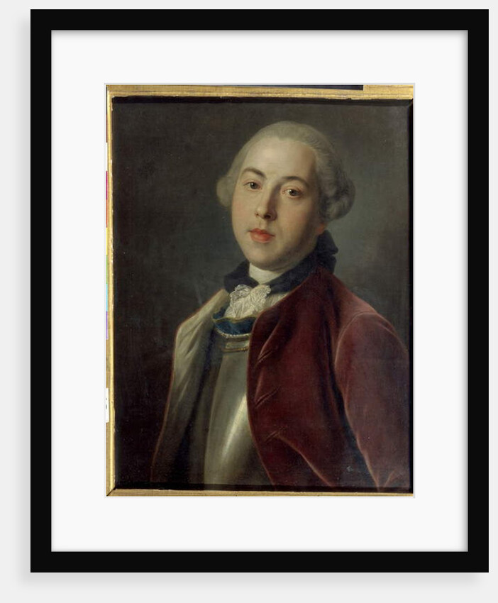 Portrait of Count Alexander Mihailovich Galitzine, 18th century by Pietro Antonio Rotari