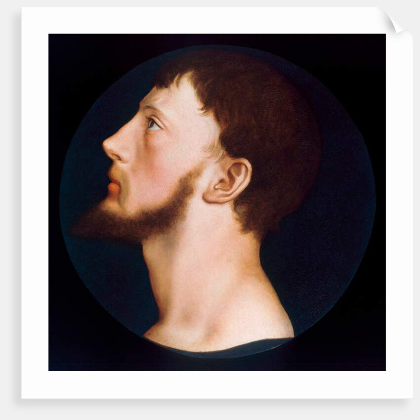 Portrait of Thomas Wyatt the Younger, c.1541 by Hans Holbein the Younger